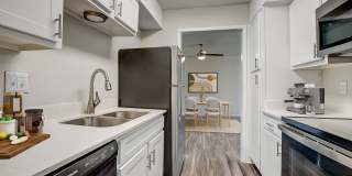 Summerwind Gallery 9