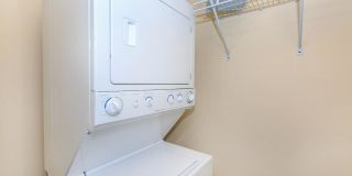 Carrington Gallery 65