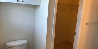 Beautiful 1-Bedroom Apartment for Rent in Mosaic at Millenia Gallery 10