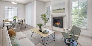 Camden Lakeway Gallery 10