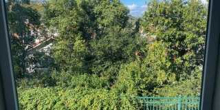 759 Cranmont Court Gallery 17