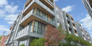 236 THOMPSON Street Gallery 1