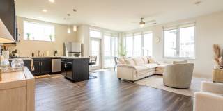 One41 Wellington Gallery 19