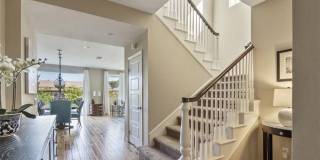 4944 Princess Gallery 4