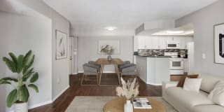 Palm Trace Landings Gallery 47