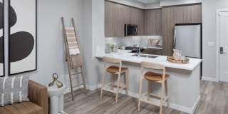 Vida Morgan Hill Gallery 31