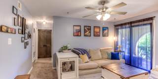 6322 N Barcelona Lane unit: 519 Gallery 1