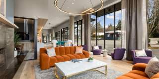 Modera Overlake Gallery 16