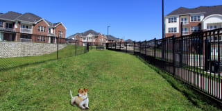 BelleMeade Apartments Gallery 12