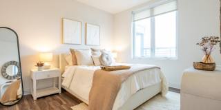 One41 Wellington Gallery 9