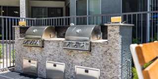 The Access Gallery 22