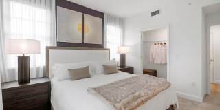 Town Treeline Gallery 25