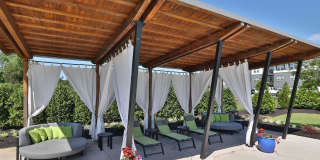 The Aster Gallery 23