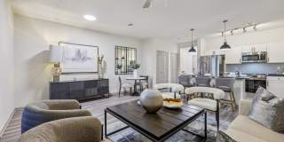 Vine and Vail Gallery 3