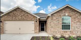 1309 Shumard Drive Gallery 1