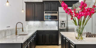 84 Carolina Cherry Drive Gallery 18