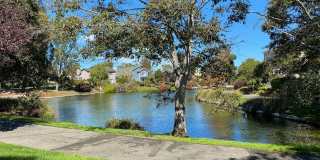 115 Keil Bay - 30% Rental Fee Gallery 43