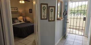 3138 Via Poinciana Gallery 9