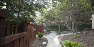 Pacific Vista Gallery 10