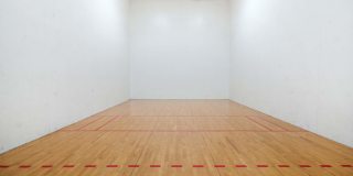 Victoria Place Gallery 81