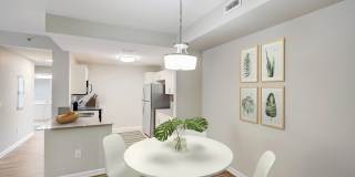 Savona Grand Gallery 5