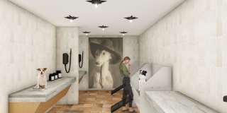 Broadstone Mission Valley Gallery 12