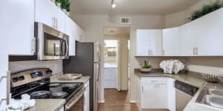 Reflections at Gila Springs Gallery 33