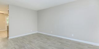 Lexington Village Gallery 6