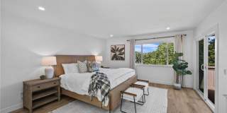 3519 Paseo Flamenco Gallery 17