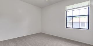 Cute 2 Bed 1 Bath Unit in Quiet Fourplex Gallery 8