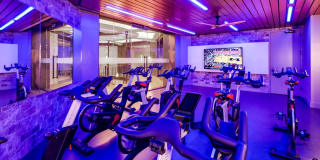 The Octagon The Octagon Gallery 10