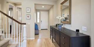 4944 Princess Gallery 14