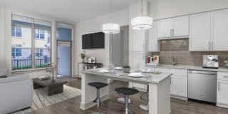 Camden Carolinian Gallery 8