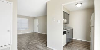 The Midway Gallery 11