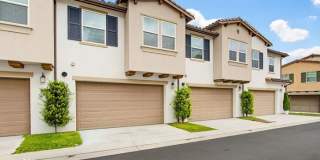 1107 Delpy View Point Gallery 25