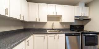 Village at Sota Gallery 13