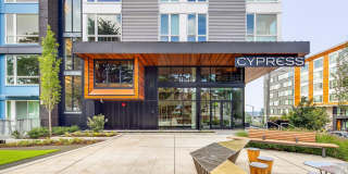 Cypress Gallery 22