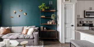 Ladora Modern Apartments Gallery 6