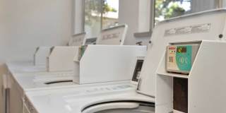 The Redwoods Apartments Gallery 24