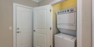 Red Knot at Edinburgh Gallery 24