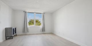 3000 N Ocean Boulevard Gallery 8
