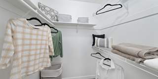 Solas Glendale Gallery 8