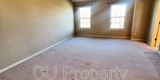 14 Parsley - 1 Gallery 17