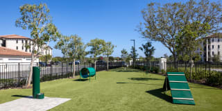 Locklyn West Palm Gallery 23