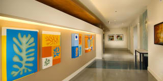 The Matisse Gallery 18