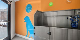 Adair Off Addison Adair Off Addison Gallery 9