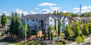 Palermo at Lakeland Gallery 1