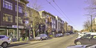 Queen Anne Collection Gallery 49