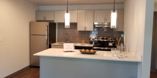 Windsor Park Gallery 2