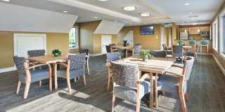 Norwood Gardens Gallery 21